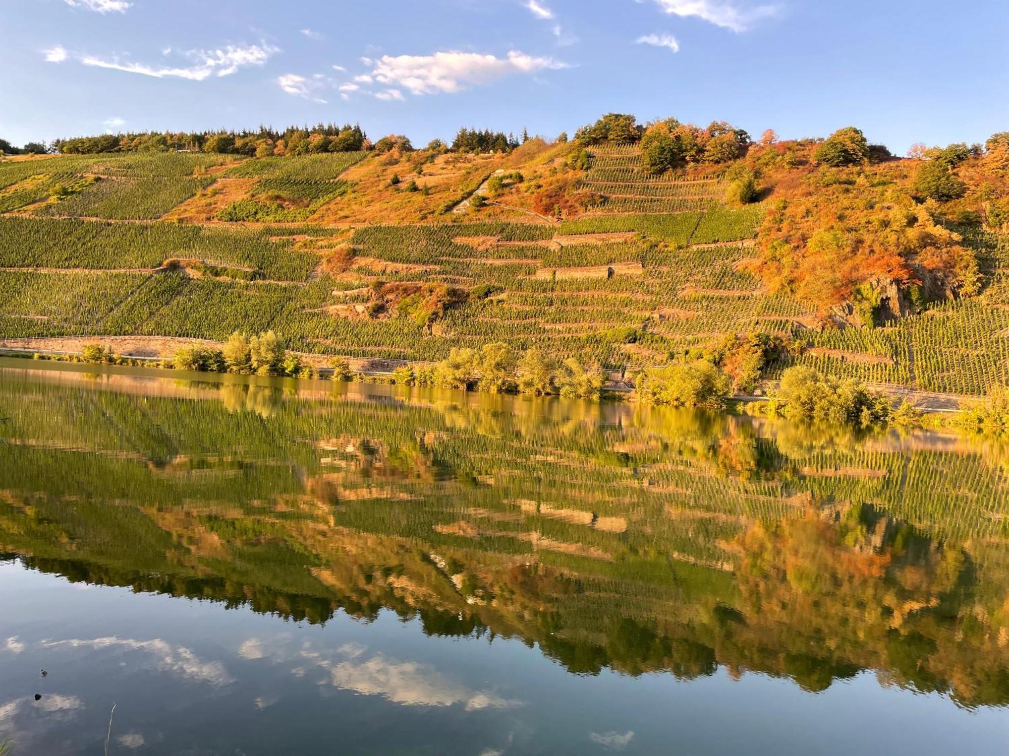 Neue Loft Im Alten Kelterhaus - Urlaub Im Wein- Und Ferienort Bekond Exterior foto